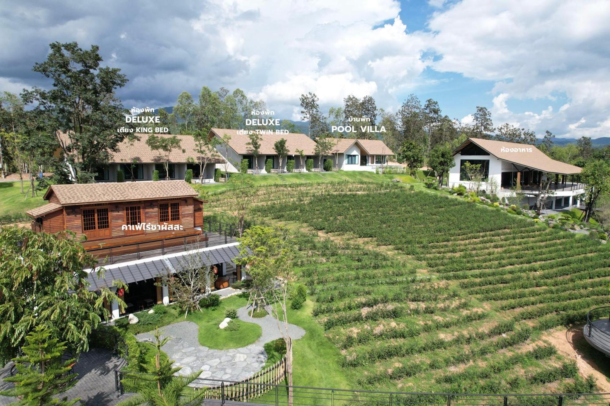 Готель Passa ผัสสะ Tea Plantation @Mae On Ban Huai Kaeo Екстер'єр фото